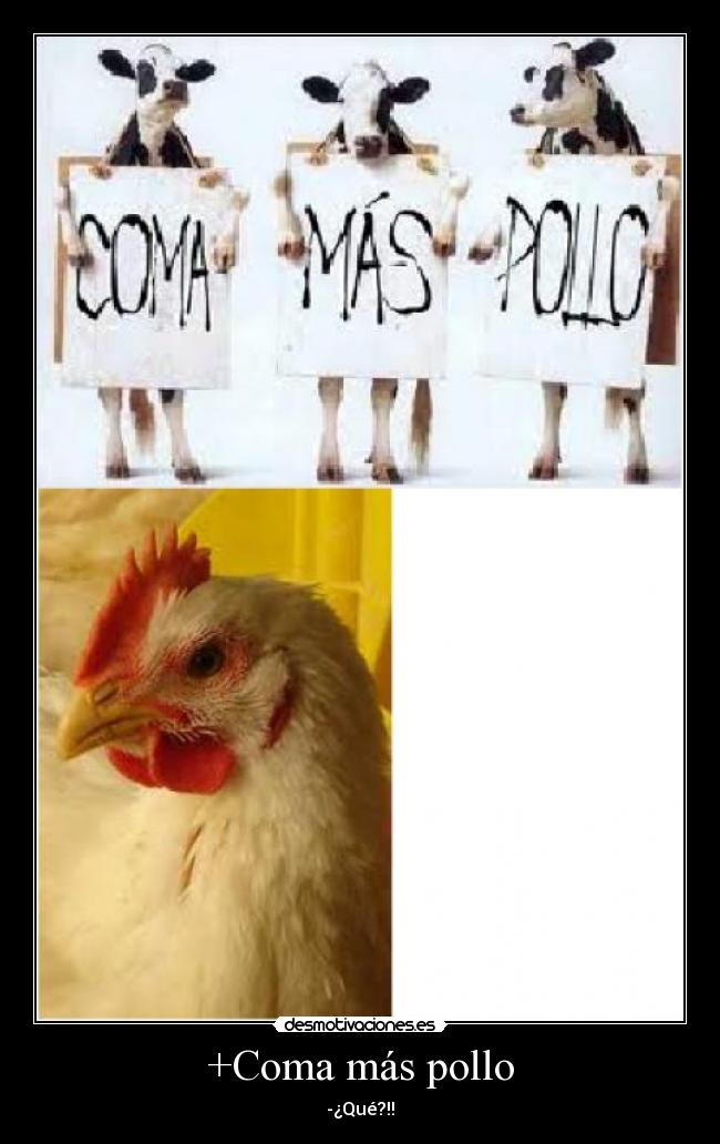 +Coma más pollo - 