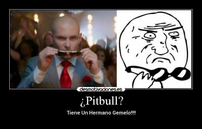 ¿Pitbull? - Tiene Un Hermano Gemelo!!!!