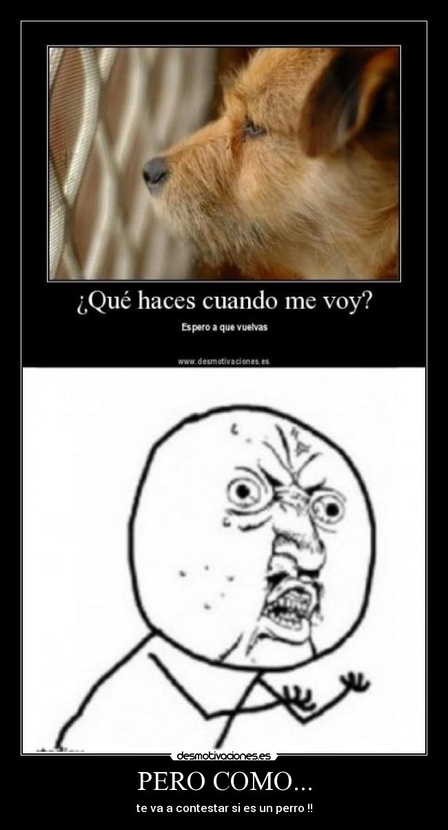 carteles pero como desmotivaciones