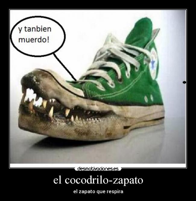 el cocodrilo-zapato - el zapato que respira