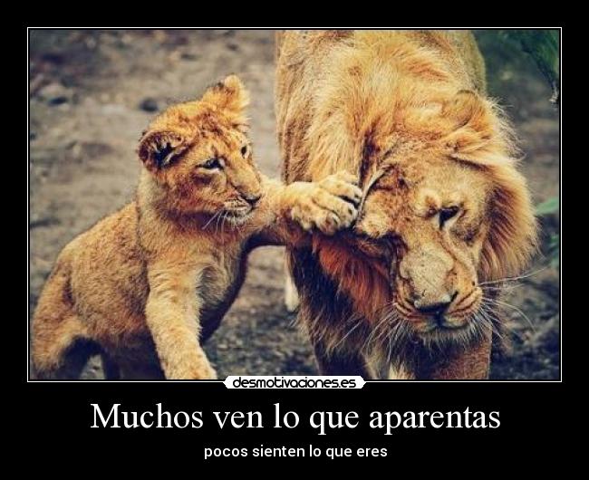 Muchos ven lo que aparentas - pocos sienten lo que eres