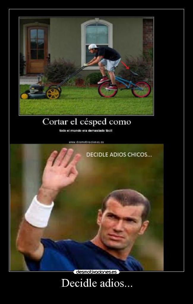 carteles adios hermano desmotivaciones