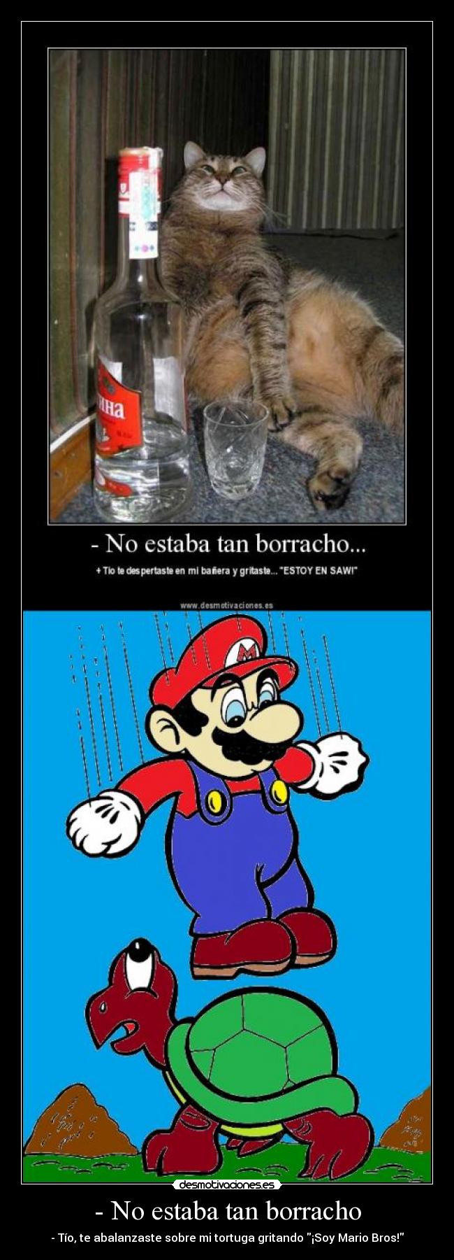 - No estaba tan borracho - - Tío, te abalanzaste sobre mi tortuga gritando ¡Soy Mario Bros!