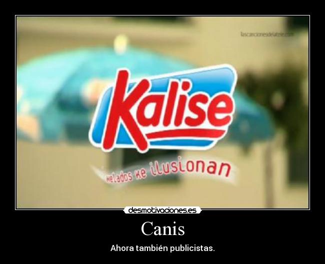 Canis -