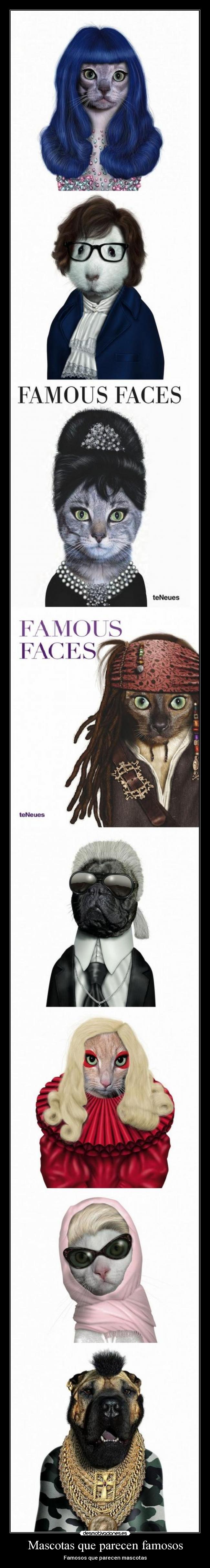 Mascotas que parecen famosos - 