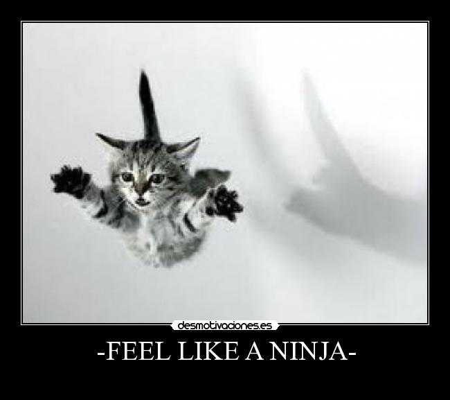 -FEEL LIKE A NINJA- - 