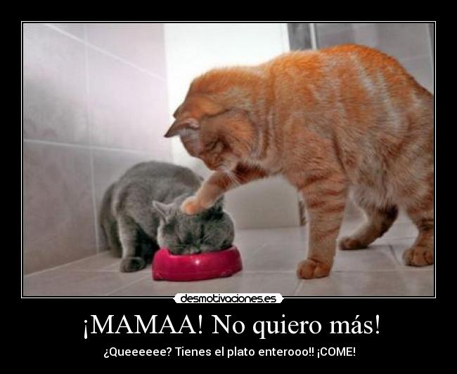 ¡MAMAA! No quiero más! - 