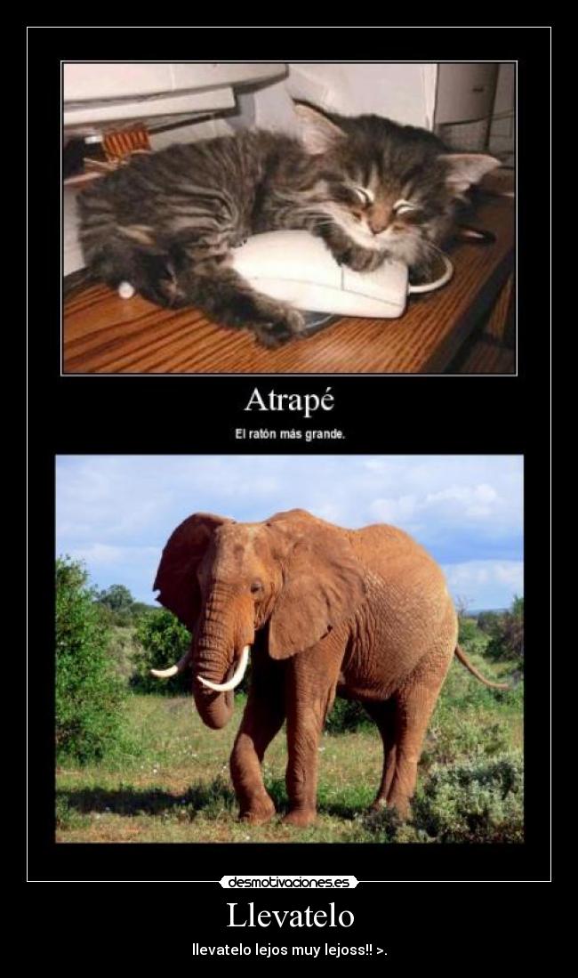 Llevatelo -