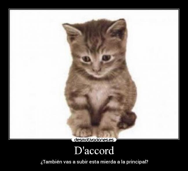 Daccord - 
