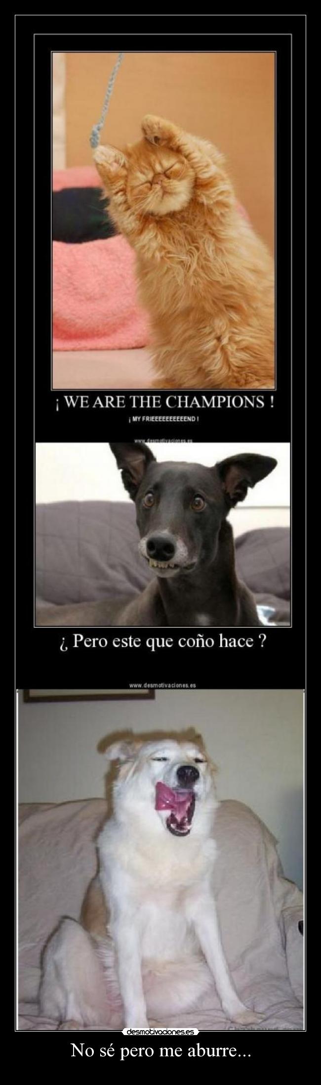 No sé pero me aburre... - 