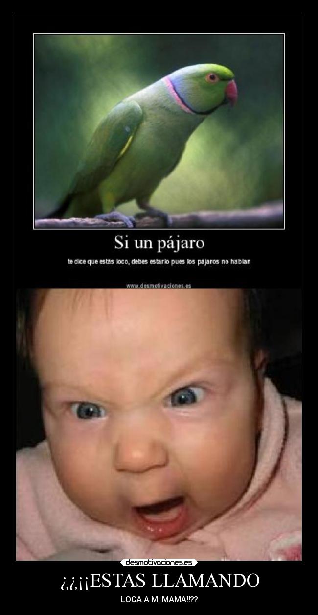 ¿¿¡¡ESTAS LLAMANDO - LOCA A MI MAMA!!??