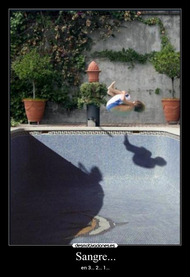 Sangre... - 
