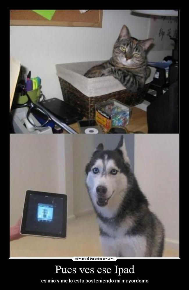 Pues ves ese Ipad - 