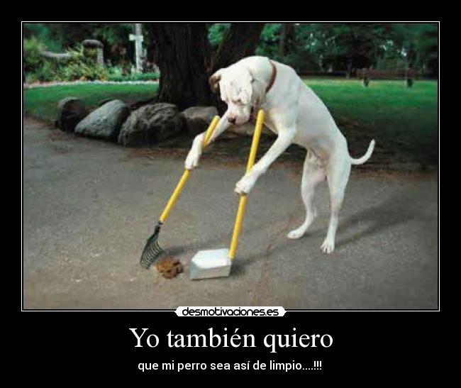 Yo también quiero - que mi perro sea así de limpio....!!!