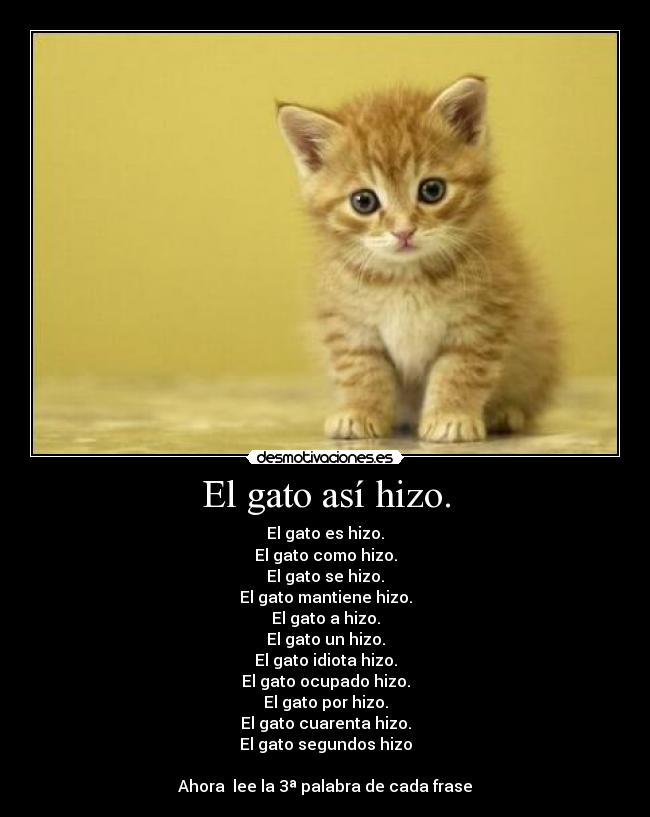 El gato así hizo. - 
