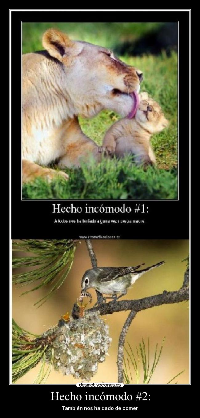 Hecho incómodo #2: - También nos ha dado de comer