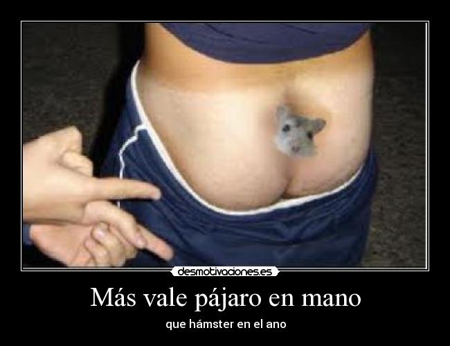 Más vale pájaro en mano - 
