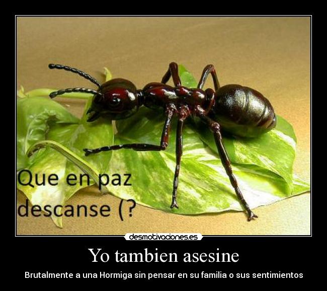 Yo tambien asesine - Brutalmente a una Hormiga sin pensar en su familia o sus sentimientos