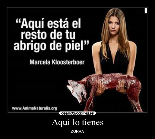 Aqui lo tienes - ZORRA 