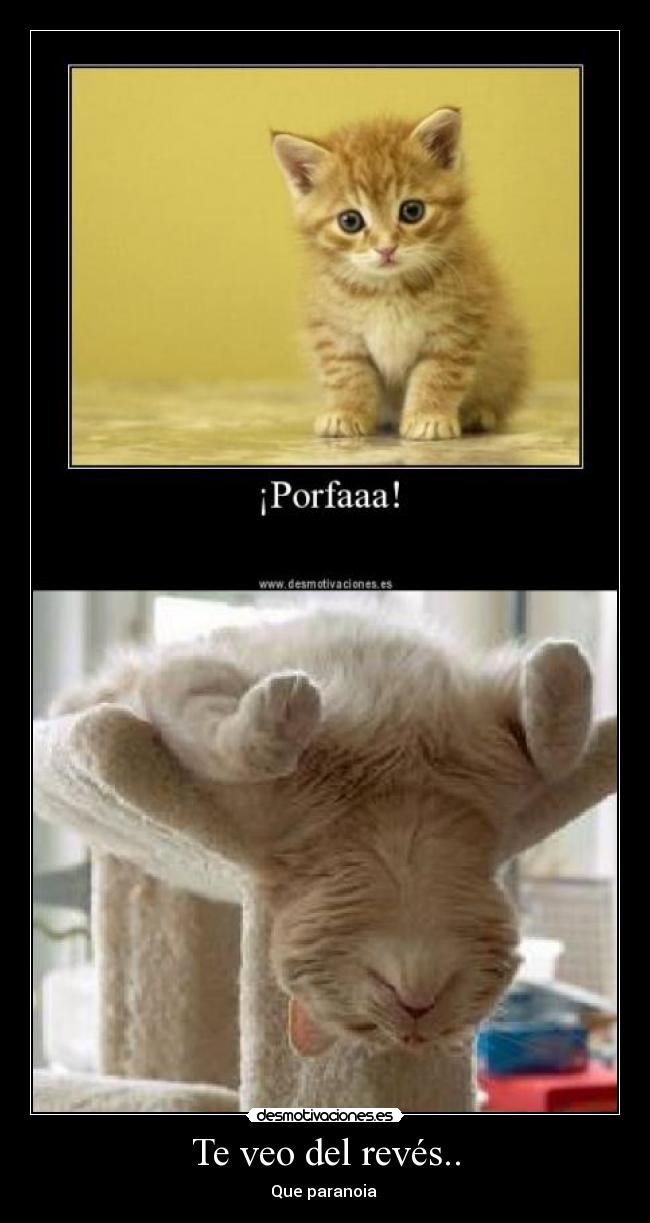 Te veo del revés.. - 