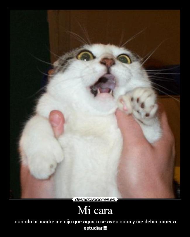 Mi cara - cuando mi madre me dijo que agosto se avecinaba y me debía poner a estudiar!!!!