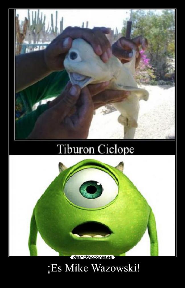 ¡Es Mike Wazowski! - 