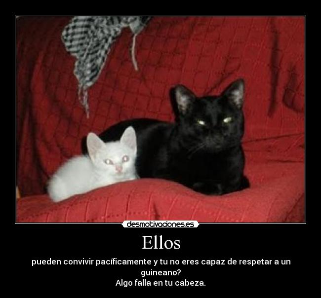 Ellos - 