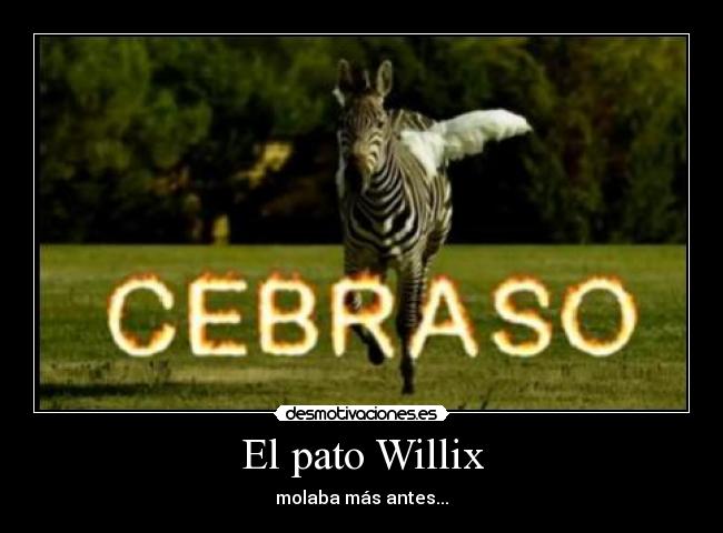 El pato Willix -