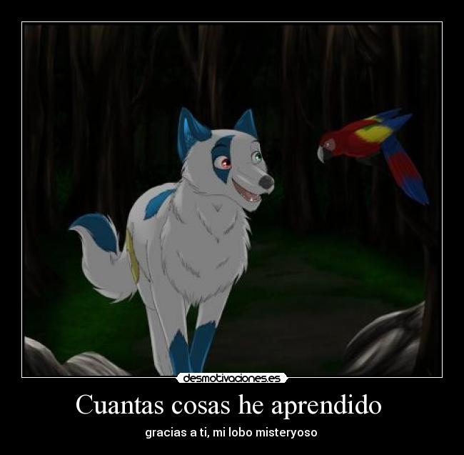 carteles guacamayo desmotivaciones