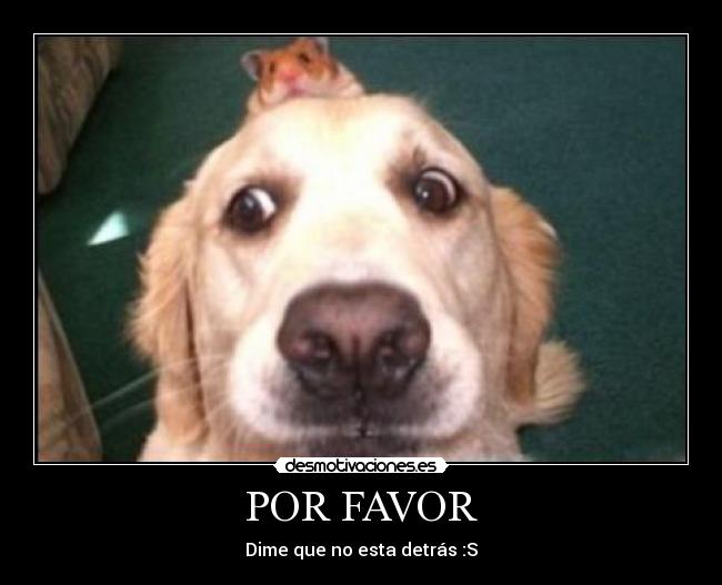 POR FAVOR - 