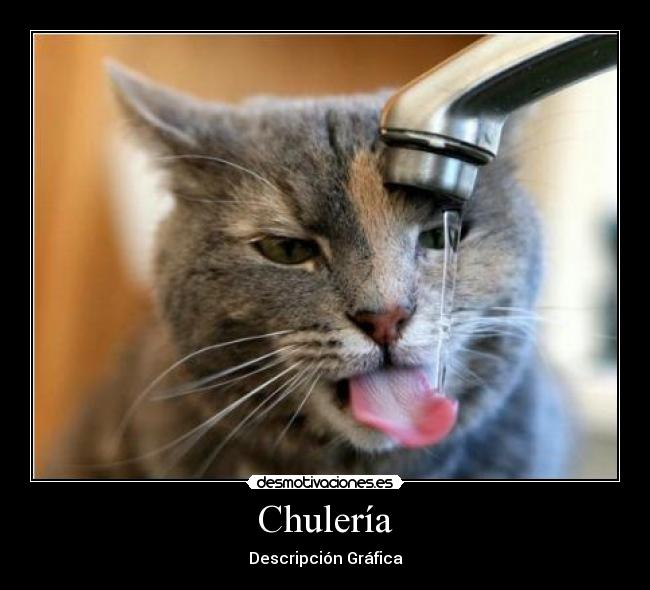 Chulería - Descripción Gráfica