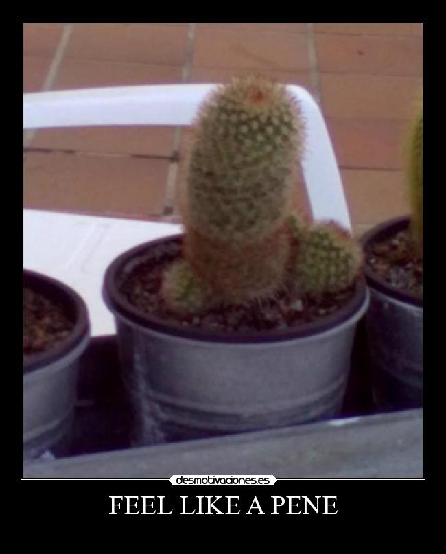 FEEL LIKE A PENE - 