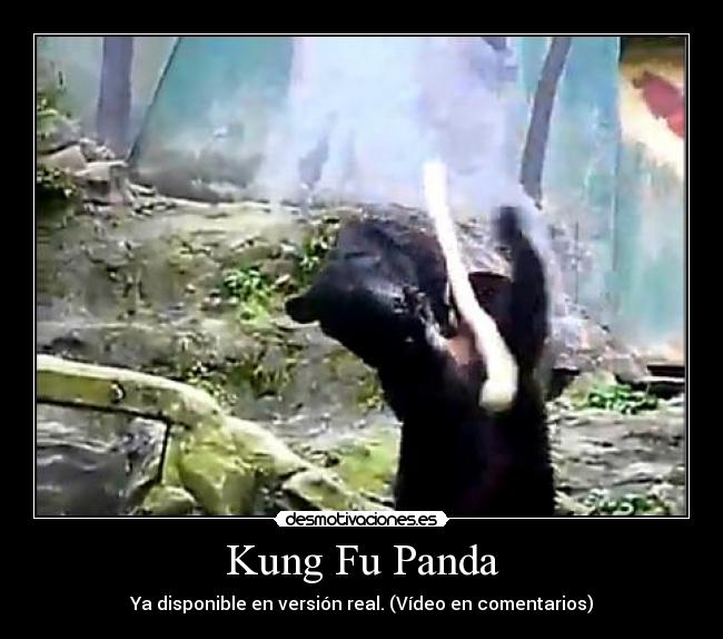 Kung Fu Panda -