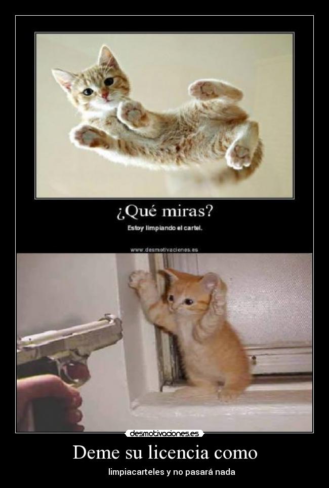 Deme su licencia como -