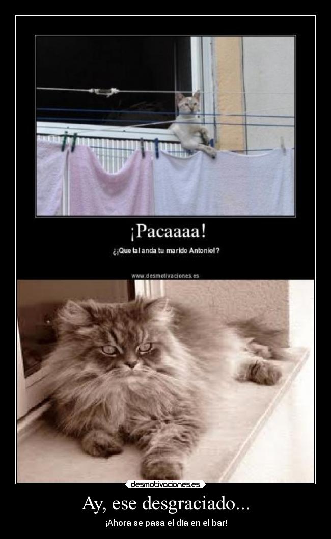 Ay, ese desgraciado... - ¡Ahora se pasa el día en el bar!