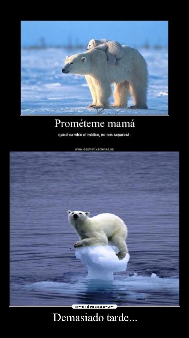 Demasiado tarde... -