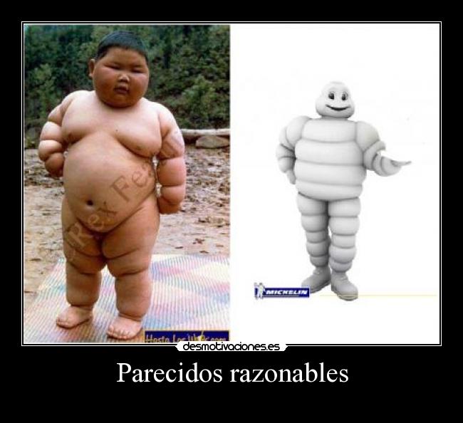 Parecidos razonables -