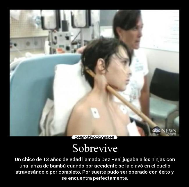 Sobrevive - 