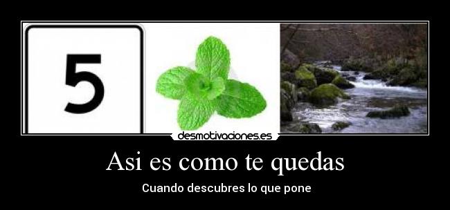 Asi es como te quedas - Cuando descubres lo que pone