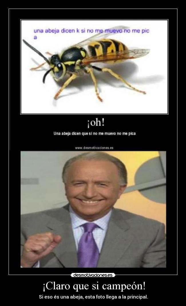 ¡Claro que si campeón! -