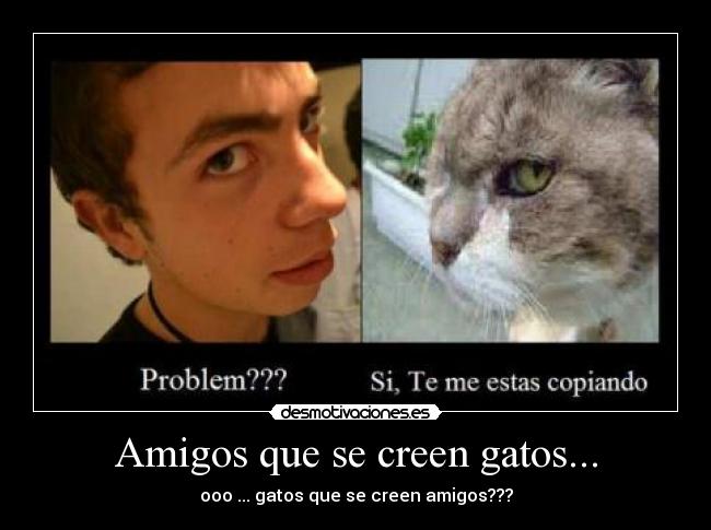 Amigos que se creen gatos... - ooo ... gatos que se creen amigos???