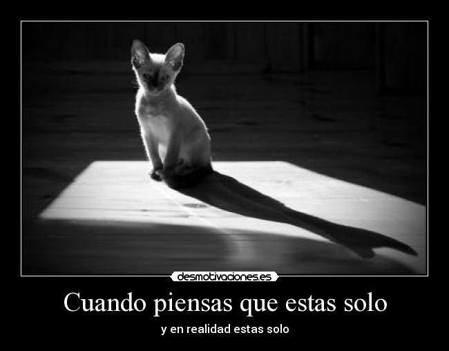 Cuando piensas que estas solo - y en realidad estas solo
