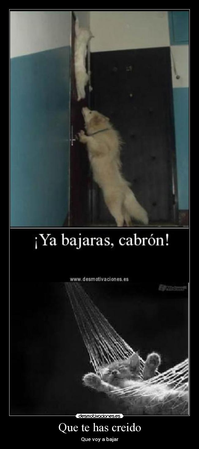 Que te has creido - Que voy a bajar