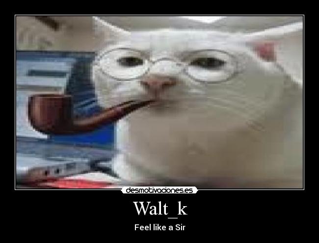 Walt_k -