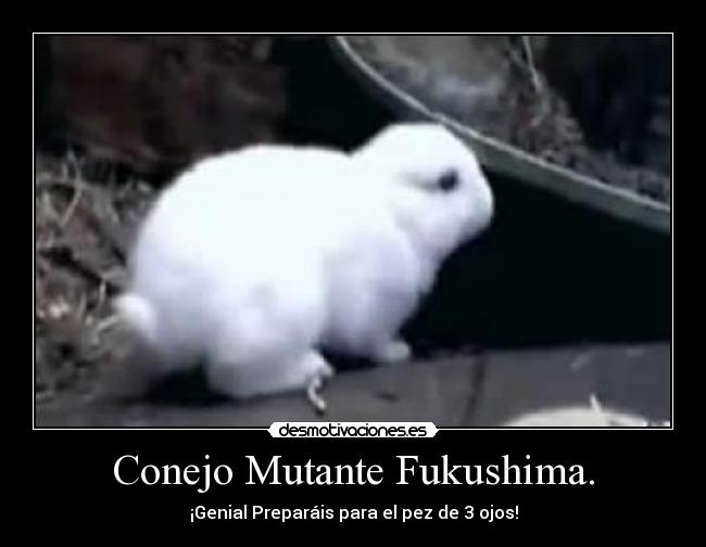 Conejo Mutante Fukushima. - ¡Genial Preparáis para el pez de 3 ojos!