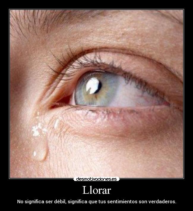 carteles llorar llorar desmotivaciones