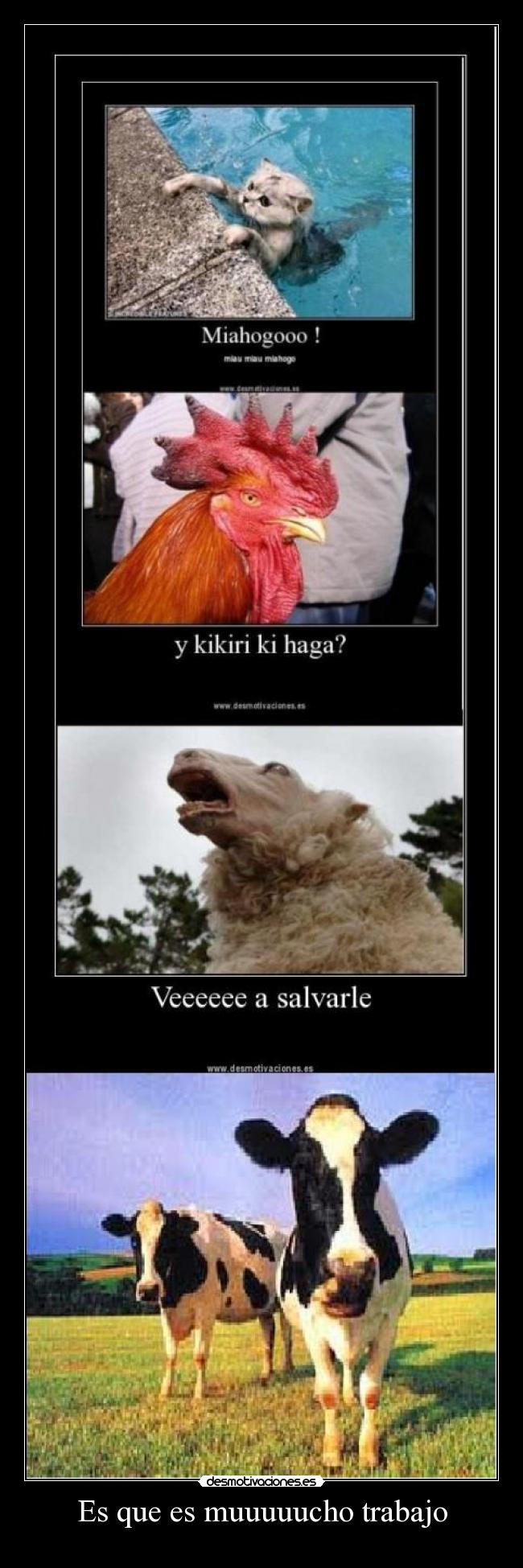 Es que es muuuuucho trabajo - 