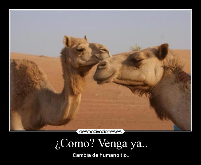 ¿Como? Venga ya.. - Cambia de humano tio..