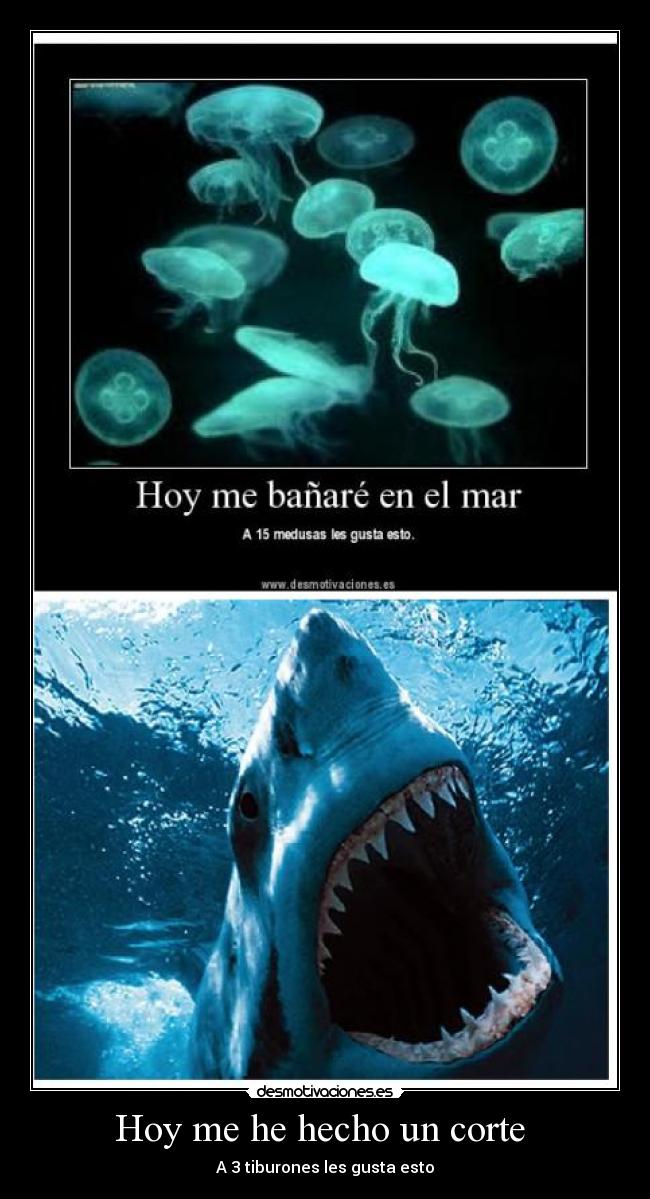 Hoy me he hecho un corte  - A 3 tiburones les gusta esto