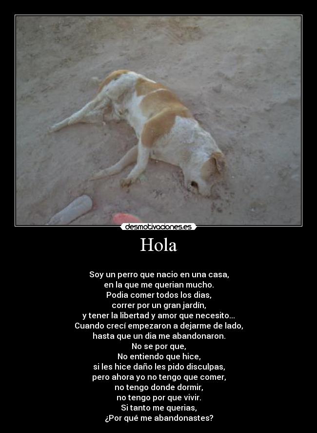 Hola - 
Soy un perro que nacio en una casa,
en la que me querian mucho.
Podia comer todos los dias,
correr por un gran jardín,
y tener la libertad y amor que necesito...
Cuando crecí empezaron a dejarme de lado,
hasta que un dia me abandonaron.
No se por que,
No entiendo que hice,
si les hice daño les pido disculpas,
pero ahora yo no tengo que comer,
no tengo donde dormir,
no tengo por que vivir.
Si tanto me querias,
¿Por qué me abandonastes?